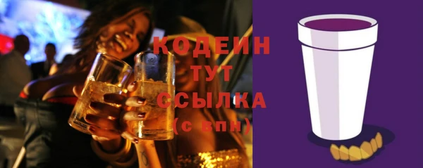 стафф Верхний Тагил