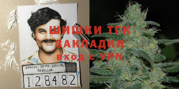 дурь Арсеньев