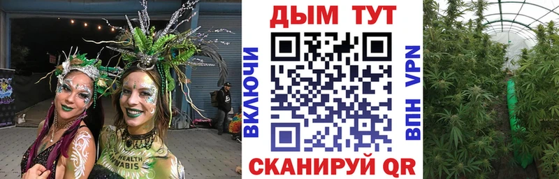 Купить  Тихвин  Конопля OG Kush 
